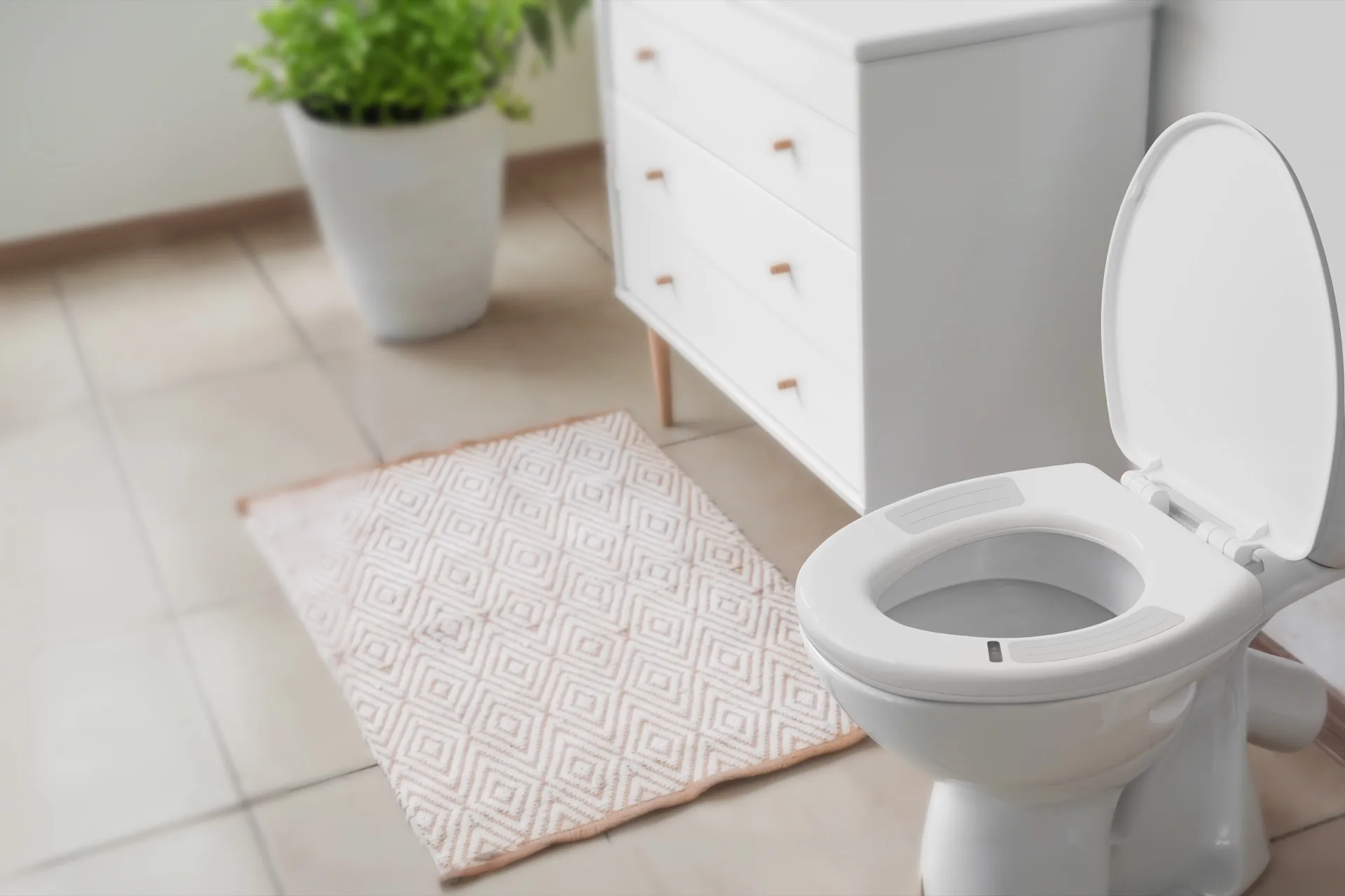 The Smart Seat on a toilet in a bright bathroom